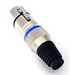XLR(��)����Ŀ���� 
