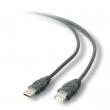 Belkin F3U134-10 USB Extension Cable
